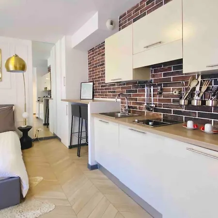דירה Beautiful Fully Renovated Centrally Located מונטה קרלו