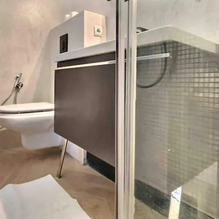 Beautiful Fully Renovated Centrally Located Apartment Monte-Carlo