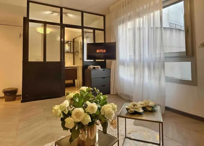 Beautiful Fully Renovated Centrally Located Appartement Monte-Carlo